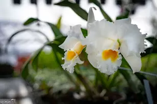 490 Red Wolf Run, Franklin, NC 28734 - Photo 80