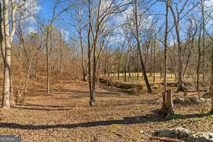 1021 Liberty Church Rd, Ranger, GA 30734 - Photo 52