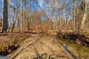 1021 Liberty Church Rd, Ranger, GA 30734 - Photo 54