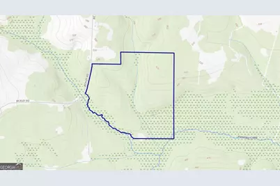 0 Bickley Road #TRACT A, Butler, GA 31006 - Photo 46