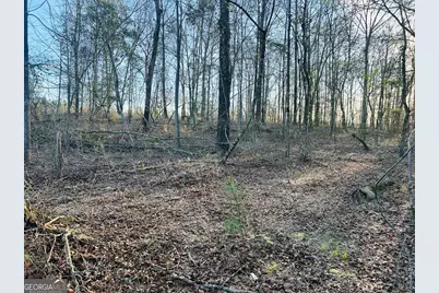 0 Bickley Road #TRACT A, Butler, GA 31006 - Photo 16