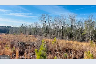 0 Bickley Road #TRACT A, Butler, GA 31006 - Photo 42