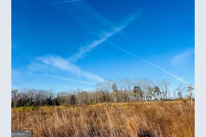 0 Bickley Road #TRACT A, Butler, GA 31006 - Photo 34