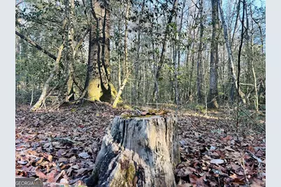 0 Bickley Road #TRACT A, Butler, GA 31006 - Photo 30