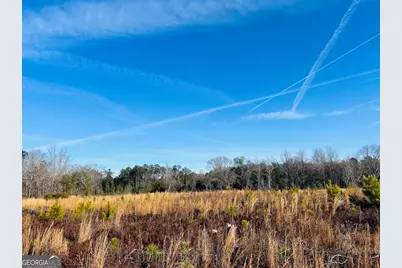 0 Bickley Road #TRACT A, Butler, GA 31006 - Photo 40