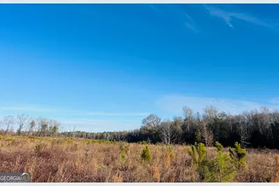 0 Bickley Road #TRACT A, Butler, GA 31006 - Photo 18