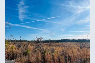 0 Bickley Road #TRACT A, Butler, GA 31006 - Photo 38