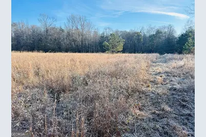 0 Bickley Road #TRACT A, Butler, GA 31006 - Photo 24
