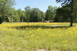 209 Horton Rd, Dahlonega, GA 30533 - Photo 1