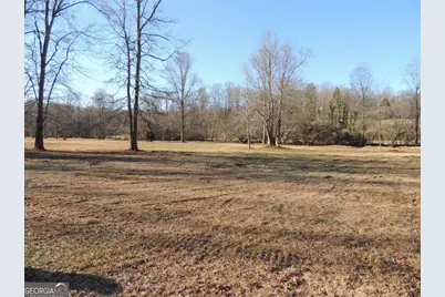 209 Horton Road, Dahlonega, GA 30533 - Photo 12