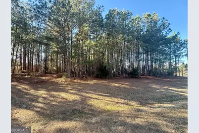303 Freedom Drive, Forsyth, GA 31029 - Photo 2