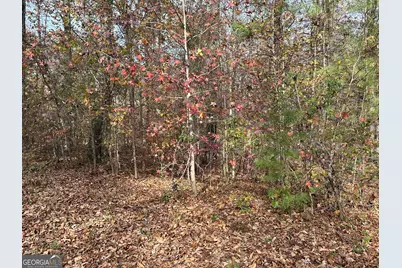 350 Antebellum Way, Fayetteville, GA 30215 - Photo 2