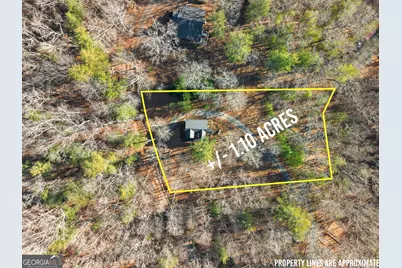 234 Old Indian Trail, Blue Ridge, GA 30513 - Photo 50