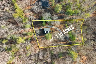 234 Old Indian Trail, Blue Ridge, GA 30513 - Photo 50