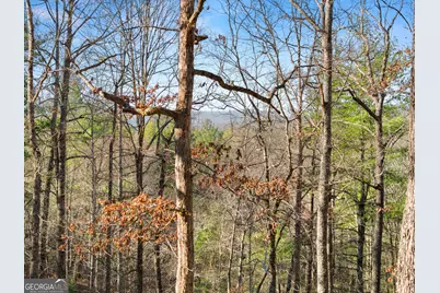 234 Old Indian Trail, Blue Ridge, GA 30513 - Photo 40