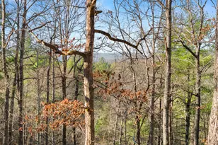 234 Old Indian Trail, Blue Ridge, GA 30513 - Photo 40