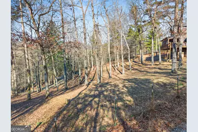 234 Old Indian Trail, Blue Ridge, GA 30513 - Photo 46