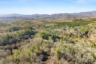 234 Old Indian Trail, Blue Ridge, GA 30513 - Photo 44