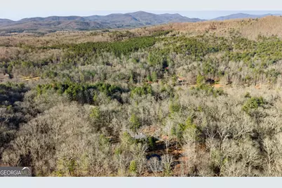 234 Old Indian Trail, Blue Ridge, GA 30513 - Photo 46