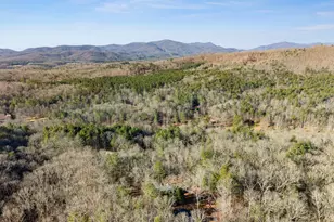 234 Old Indian Trail, Blue Ridge, GA 30513 - Photo 46