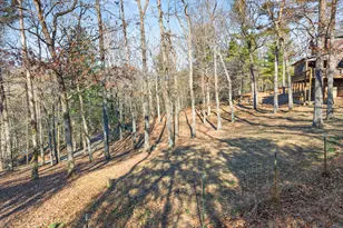 234 Old Indian Trail, Blue Ridge, GA 30513 - Photo 38
