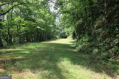 29 Cool Spring Lane, Clayton, GA 30525 - Photo 8