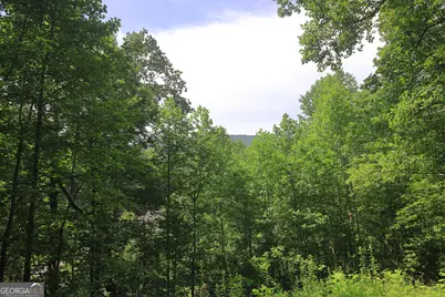 29 Cool Spring Lane, Clayton, GA 30525 - Photo 14