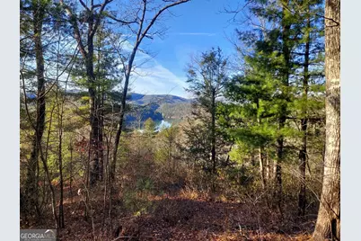 0 Lot 16 Rabun Bluffs #16, Lakemont, GA 30552 - Photo 6