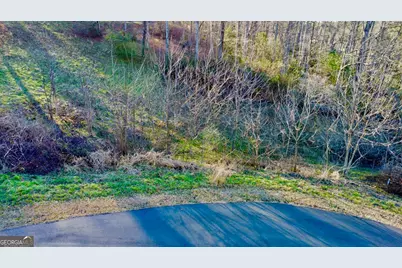 16 Ann's Way, Blairsville, GA 30512 - Photo 8