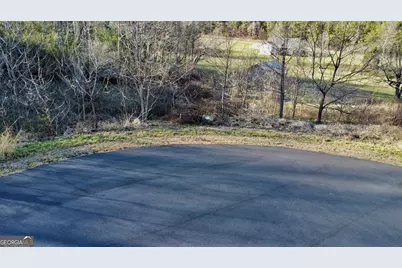 16 Ann's Way, Blairsville, GA 30512 - Photo 16