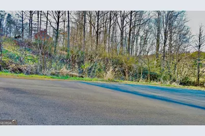 16 Ann's Way, Blairsville, GA 30512 - Photo 10