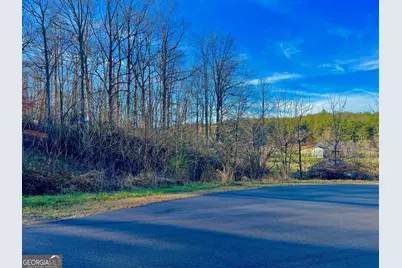 16 Ann's Way, Blairsville, GA 30512 - Photo 14