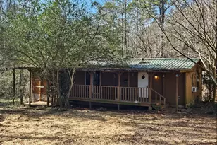 1810 Sandy Flat Rd, Bowdon, GA 30108 - Photo 4