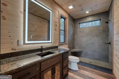 250 Wolf Creek Circle, Mineral Bluff, GA 30559 - Photo 40