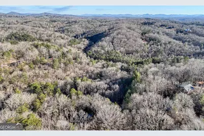 250 Wolf Creek Circle, Mineral Bluff, GA 30559 - Photo 14