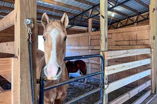 1081 Apalachee Rdg, Madison, GA 30650 - Photo 78