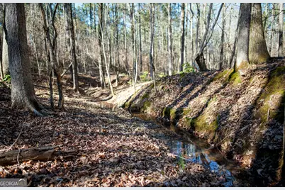 1081 Apalachee Ridge, Madison, GA 30650 - Photo 98