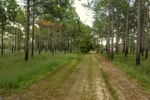 31 Ga Hwy 41, Morgan, GA 39866 - Photo 10