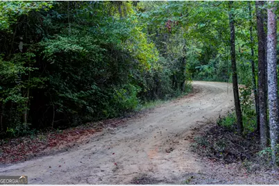 31 Ga Hwy 41, Morgan, GA 39866 - Photo 12