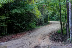 31 Ga Hwy 41, Morgan, GA 39866 - Photo 12