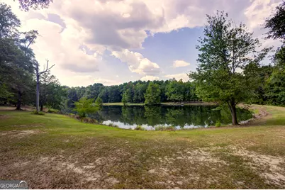 31 Ga Hwy 41, Morgan, GA 39866 - Photo 8