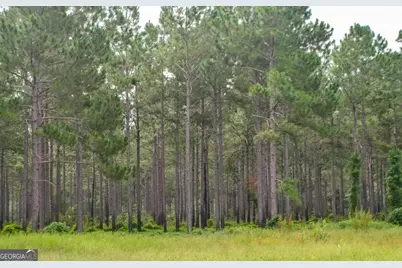 31 Ga Hwy 41, Morgan, GA 39866 - Photo 14