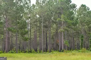 31 Ga Hwy 41, Morgan, GA 39866 - Photo 14