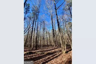 1090 Kansas-Jake Road, Waco, GA 30182 - Photo 16