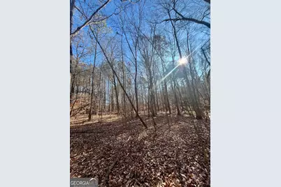 1090 Kansas-Jake Road, Waco, GA 30182 - Photo 22