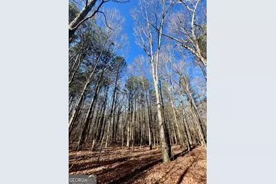 1090 Kansas-Jake Road, Waco, GA 30182 - Photo 14