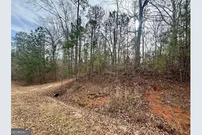 0 Hatchee Ridge Road, Dublin, GA 31021 - Photo 2