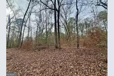 0 Hatchee Ridge Road, Dublin, GA 31021 - Photo 8