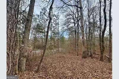 0 Hatchee Ridge Road, Dublin, GA 31021 - Photo 6