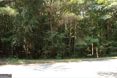 8747 Camron Drive, Winston, GA 30187 - Photo 10